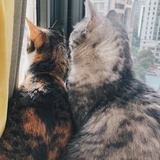 Larry