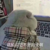 想喝奶茶