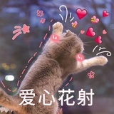 芜枔-