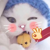 梅兄兄