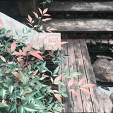 mingyan