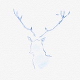 晰