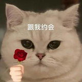 nono