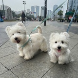 乌拉拉