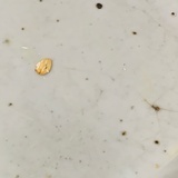 王一