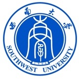 西大留学