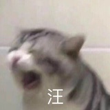略略略