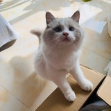 Abby