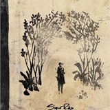 ashes