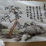 老合能猫