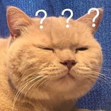 倒霉熊