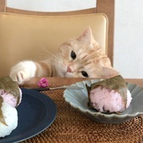 一个小可爱