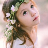清浅