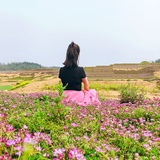 和解吧，自己