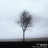 林冬飖