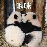 驽马