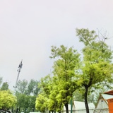 欢乐剧场