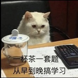 培根裹猫猫