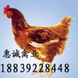 一统天下