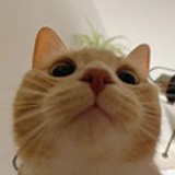 小意温柔