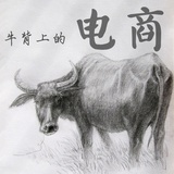 牛背上的电商