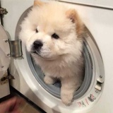 睡今朝朝