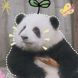 皮太后