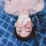 鸢尾的海洋