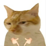 南北绿豆