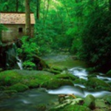 Wenwen