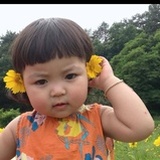 木枝