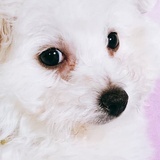 看什么看
