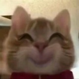 Kreme