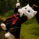 oi