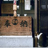 又闻海客谈瀛洲
