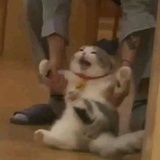 酸甜辣酱