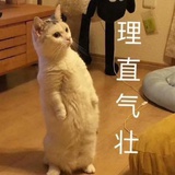 Miu