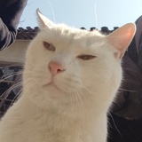 废书而瘫