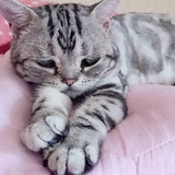 小太阳