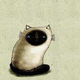 唠嗑的猫