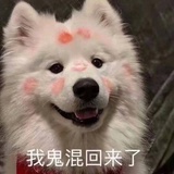 Lee。