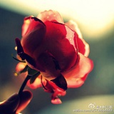 真的不好想