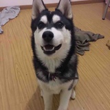 被窝里的病号