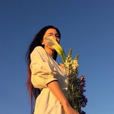 杨梅小姐