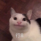 吃不吃拉面