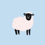 Sheep-ww