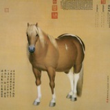 平常别样