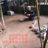 宁静 自然