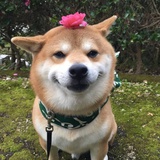 沧海一粟