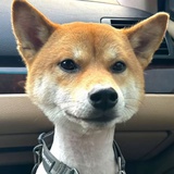 毛桃